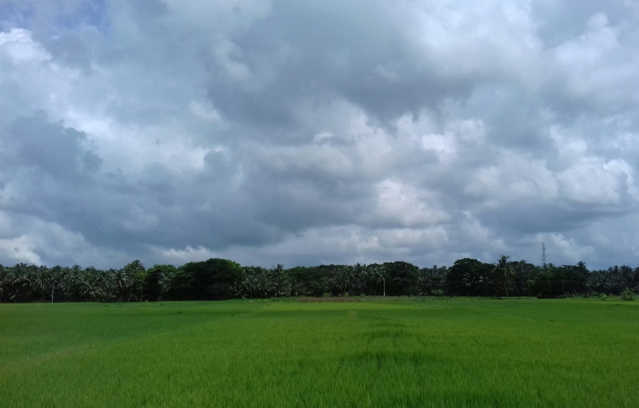 A village health centre in rural Odisha — placeholder