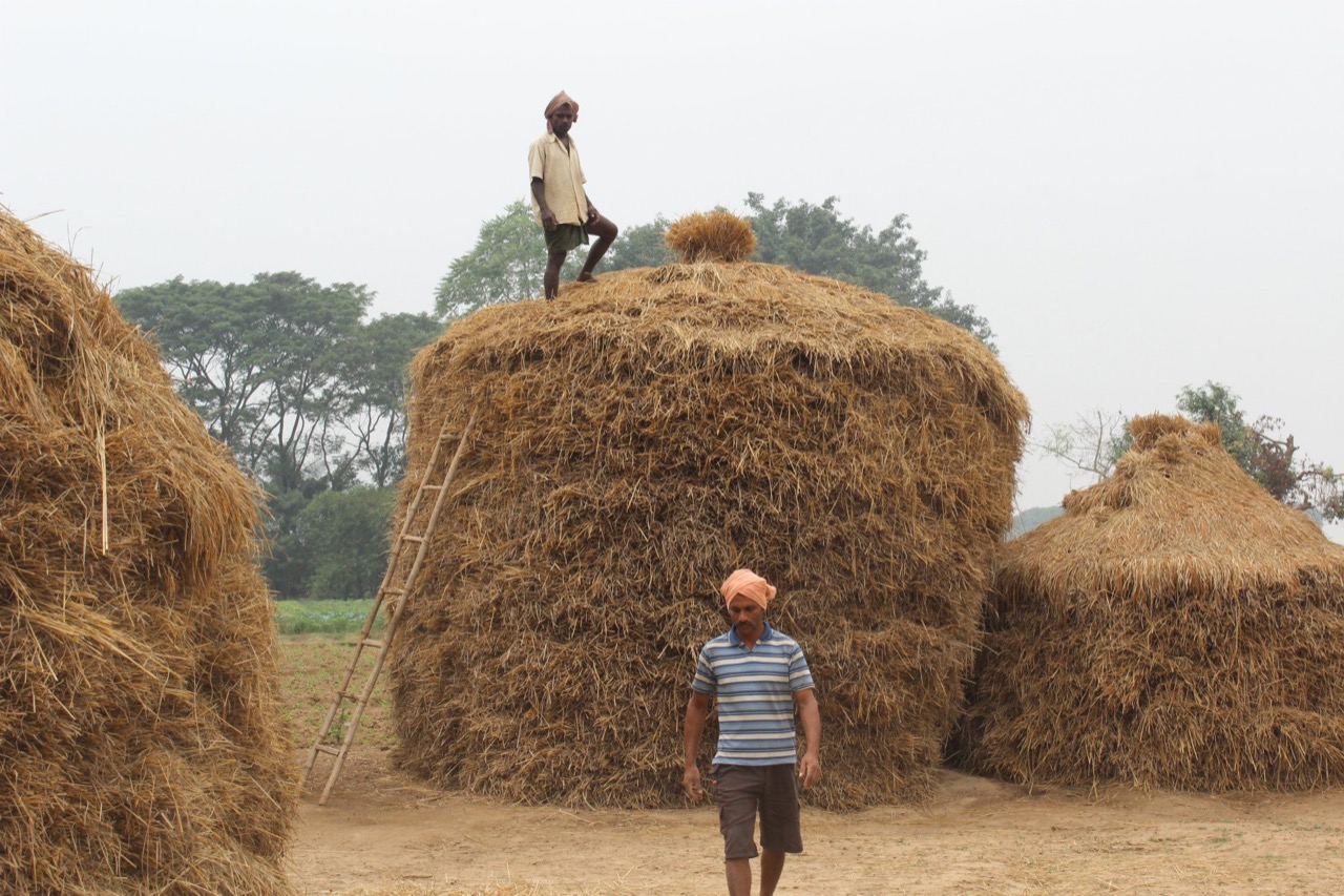 Placeholder — family photograph